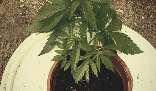 1667248186718.png 1667248186718.png