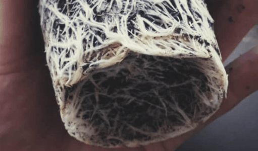 1667248451151.png 1667248451151.png