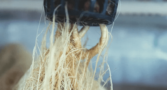 1667248528255.png 1667248528255.png