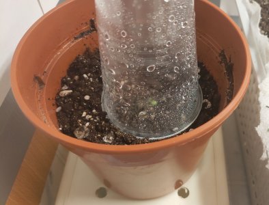 P21106-104720(1).jpg P21106-104720(1).jpg