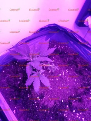 1842-wm-57490_watermarked.jpg 1842-wm-57490_watermarked.jpg