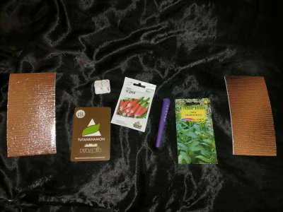 IMG_20221114_200301 (4).jpg