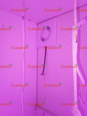 2026-wm-64297.90000003576_watermarked.jpg 2026-wm-64297.90000003576_watermarked.jpg