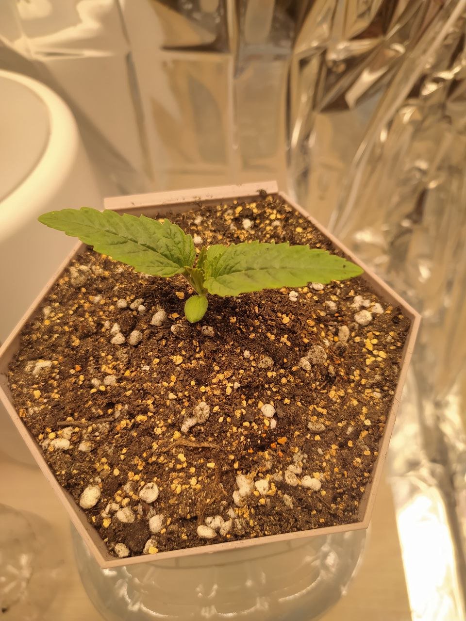 5 — копия.jpg