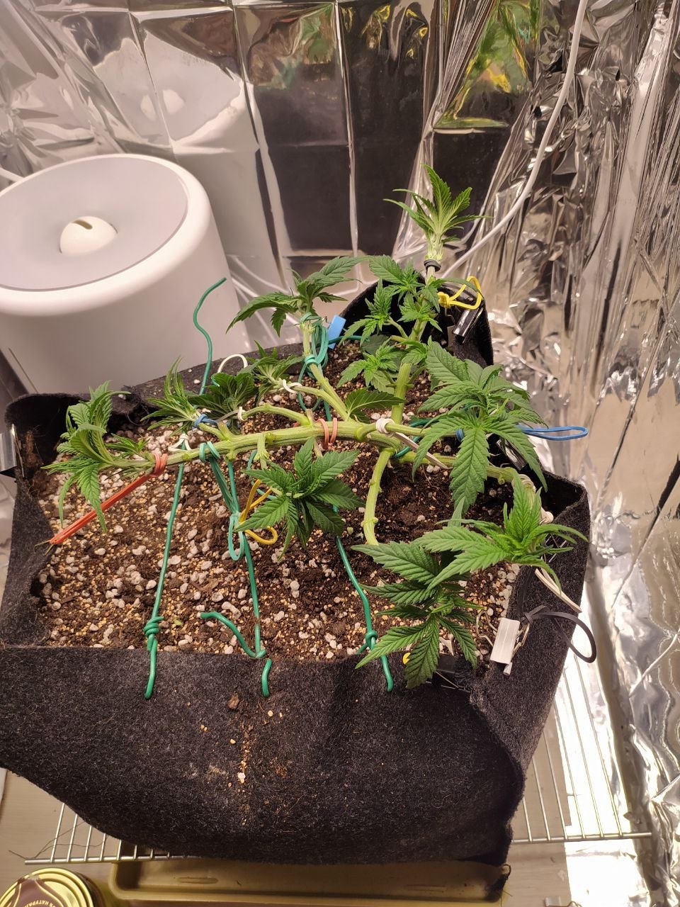 31 — копия.jpg