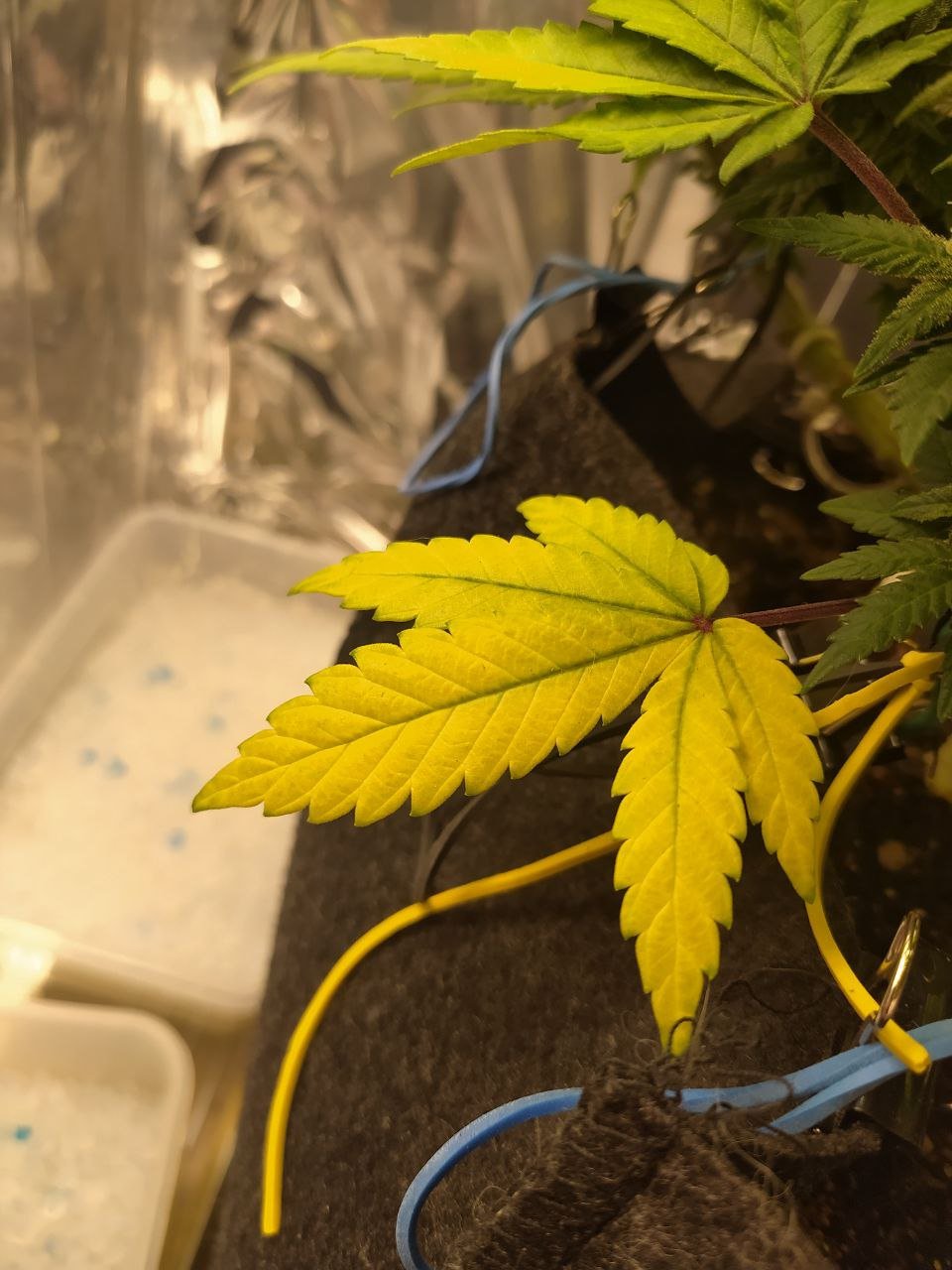 712 — копия.jpg