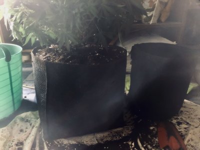 6B2670A0-6E0A-471A-B738-5EBC4928E892.jpeg 6B2670A0-6E0A-471A-B738-5EBC4928E892.jpeg