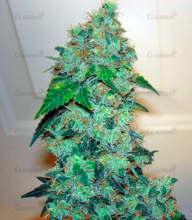 1669206418152.png 1669206418152.png