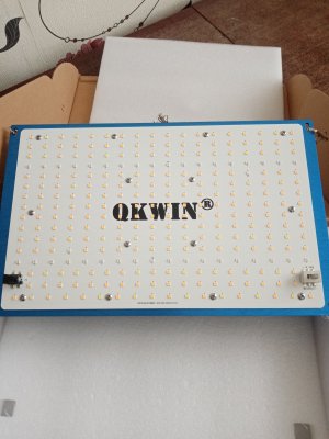 IMG_20221126_111417.jpg IMG_20221126_111417.jpg