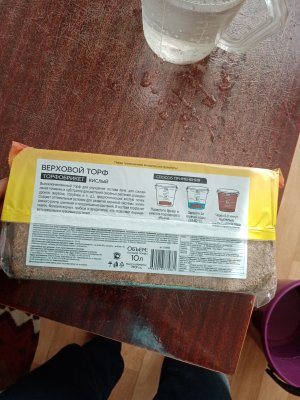 IMG_20221113_131702.jpg IMG_20221113_131702.jpg