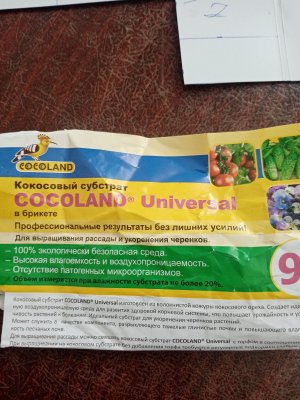 IMG_20221111_095815.jpg IMG_20221111_095815.jpg