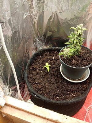 IMG_20221125_143902.jpg IMG_20221125_143902.jpg