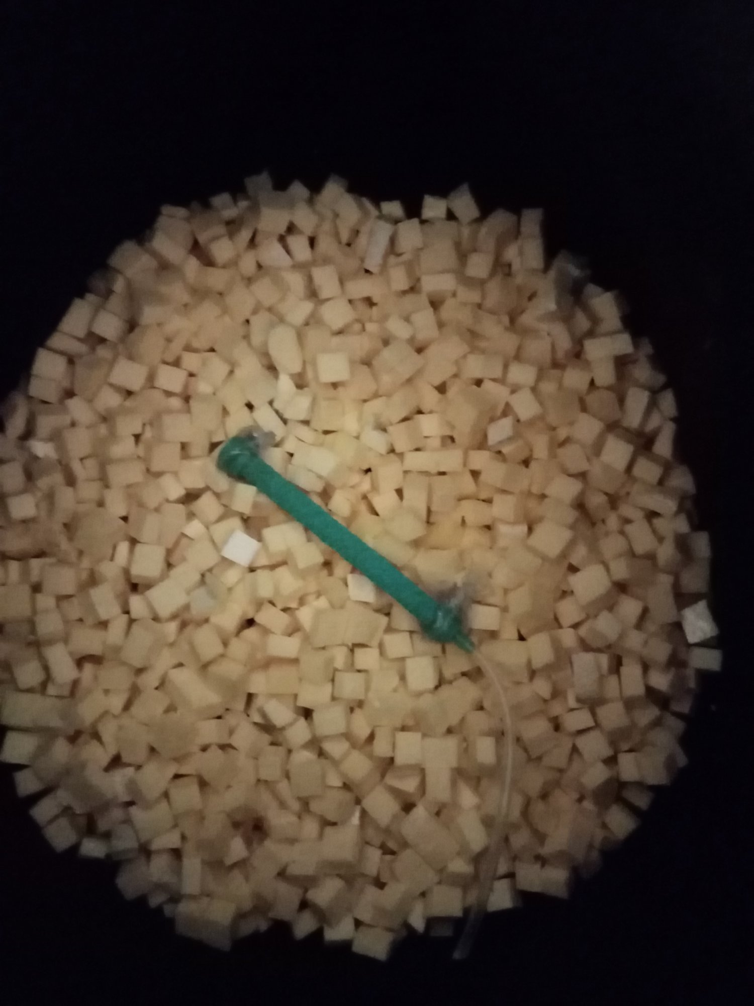 IMG_20221113_223208.jpg IMG_20221113_223208.jpg