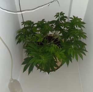 20221126_142101.jpg 20221126_142101.jpg