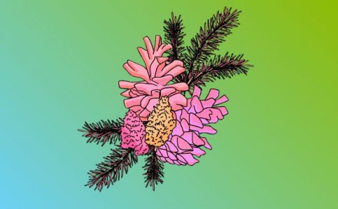 пинен пинен