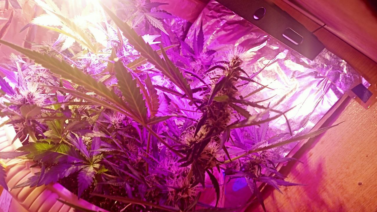 photo_2022-12-09_06-54-11 (2).jpg