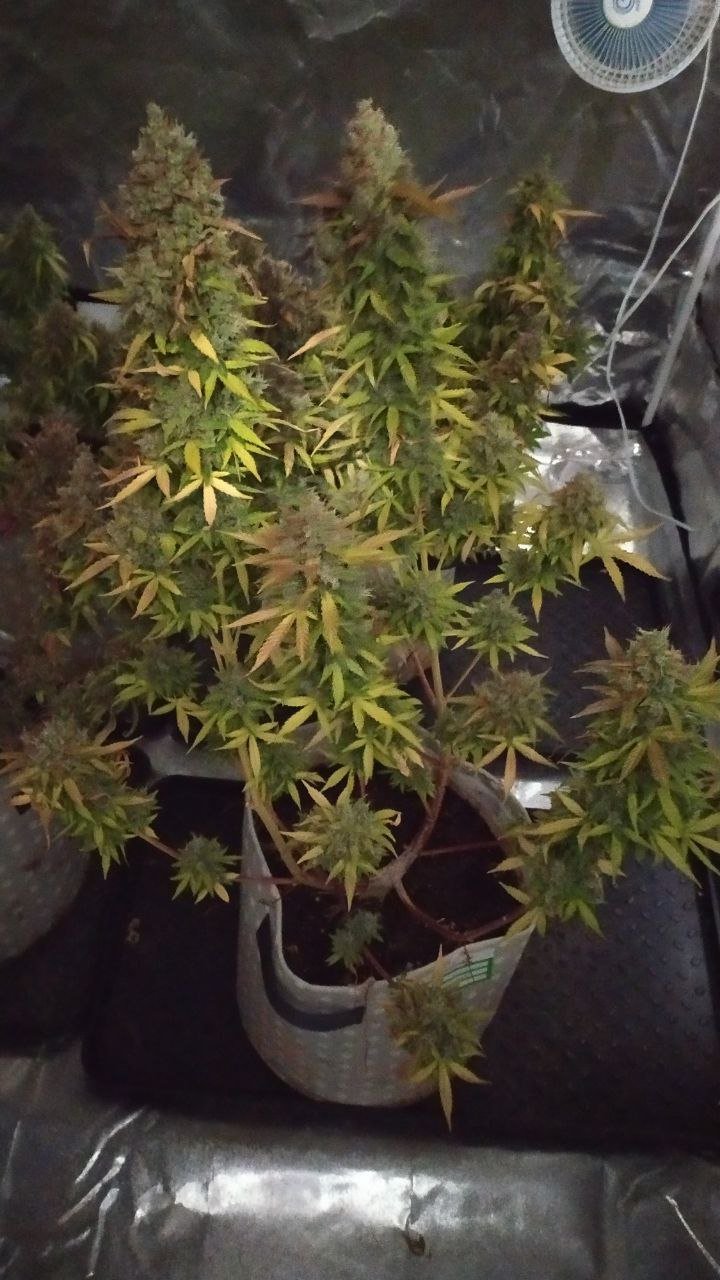 photo_2022-12-09_16-20-12 (2).jpg