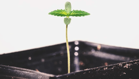 1670856516957.png 1670856516957.png