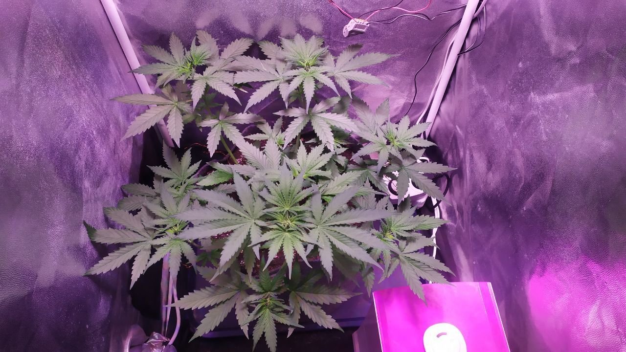 сравнение 2.jpg