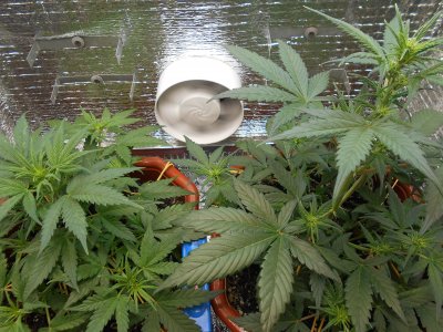 DSCN0428.JPG DSCN0428.JPG