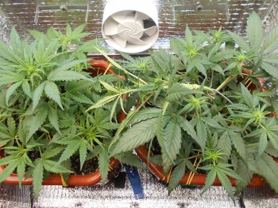 DSCN0429.JPG DSCN0429.JPG