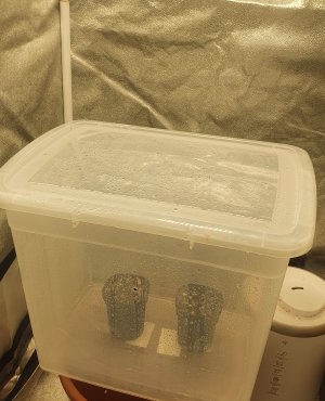 20221225_194818.jpg 20221225_194818.jpg