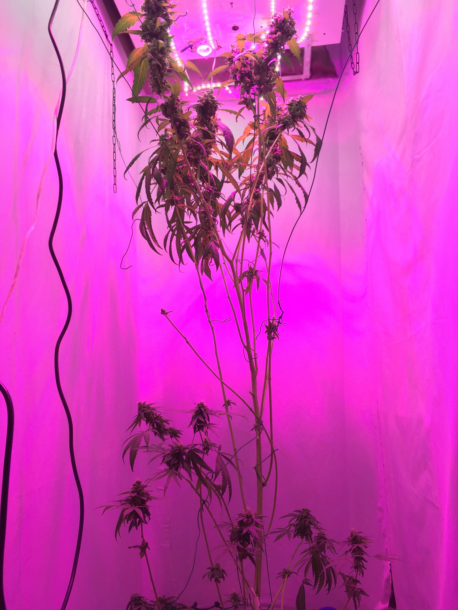 IMG_7883.JPG IMG_7883.JPG