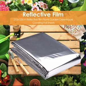 Screenshot_20221231-231024.png Screenshot_20221231-231024.png