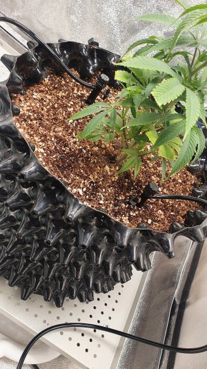 20230104_204845.jpg 20230104_204845.jpg