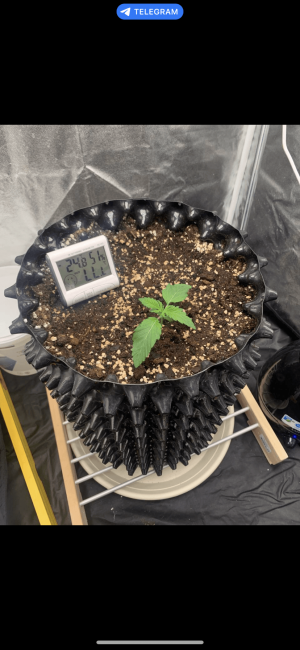 1673264115801.png 1673264115801.png