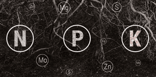 1673356498694.png 1673356498694.png