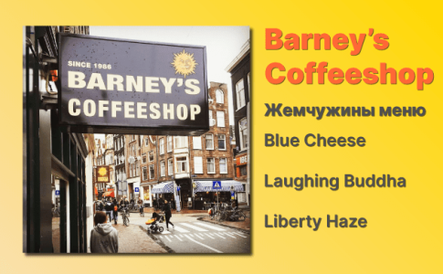 Кофешоп Амстердам Barney's Coffeeshop Кофешоп Амстердам Barney's Coffeeshop