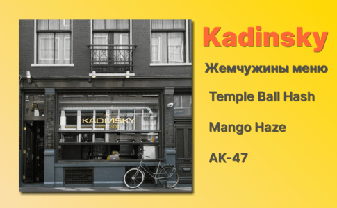 Кофешоп Амстердам Kadinsky Кофешоп Амстердам Kadinsky