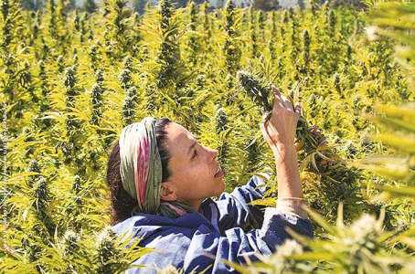 Подготовка к выращиванию автоцвета Подготовка к выращиванию автоцвета