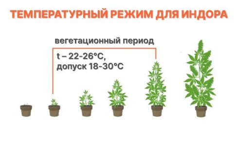 Температурный режим для автоцветов