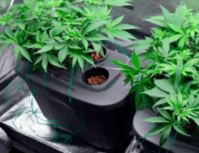 1633095062301.png 1633095062301.png