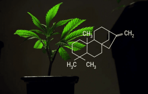 1673462091427.png 1673462091427.png