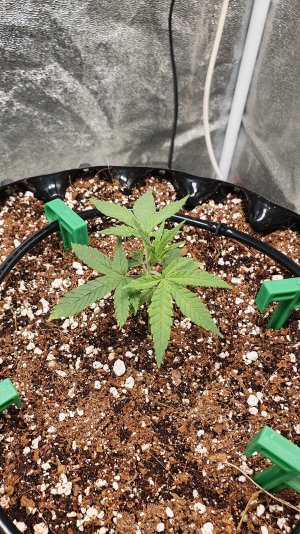 20230119_100109.jpg 20230119_100109.jpg