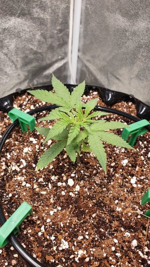 20230120_202152.jpg 20230120_202152.jpg