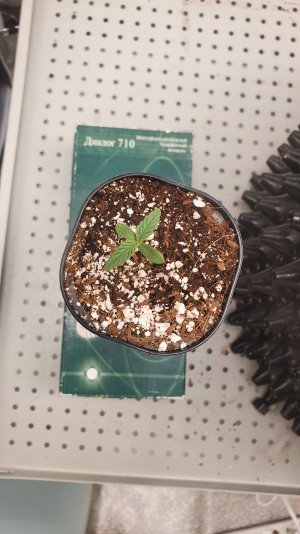 20230120_202157.jpg 20230120_202157.jpg