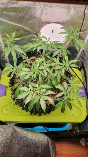 20230120_202254.jpg 20230120_202254.jpg