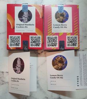 20230120_202605.jpg 20230120_202605.jpg