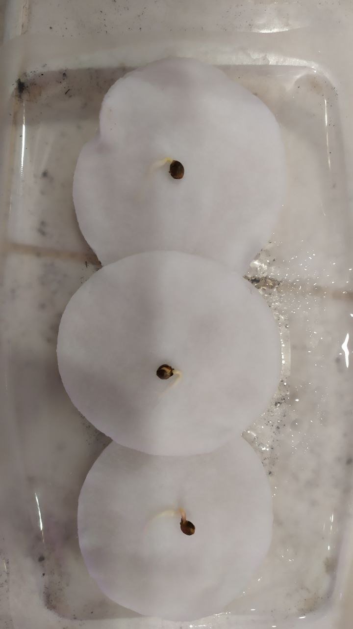 photo_2023-01-21_20-06-43 (3).jpg