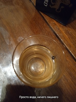 IMG_20230123_133247.jpg IMG_20230123_133247.jpg