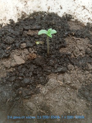 IMG_20230115_160318.jpg IMG_20230115_160318.jpg