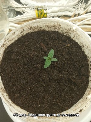 IMG_20230118_140802.jpg IMG_20230118_140802.jpg