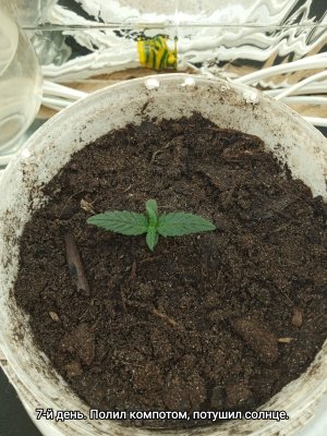 IMG_20230120_220103.jpg IMG_20230120_220103.jpg