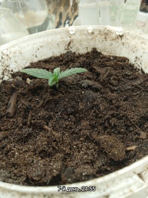 IMG_20230120_215955.jpg IMG_20230120_215955.jpg