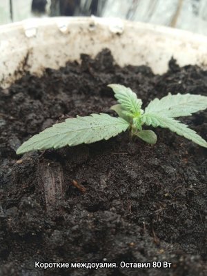 IMG_20230123_134050.jpg IMG_20230123_134050.jpg