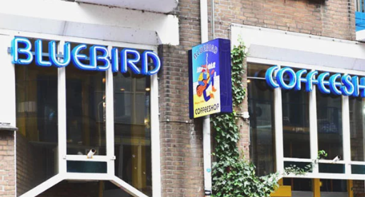 1674769722682.png 1674769722682.png